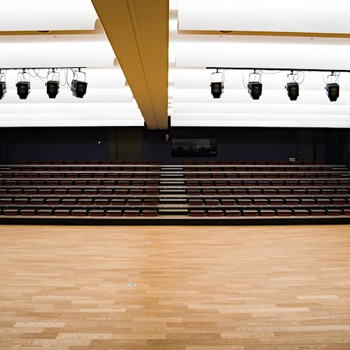 Auditorium Seats in the Corporate New Building1